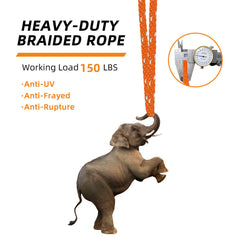 Zenicham Kayak and Canoe Bow and Stern Adjustable Heavy Duty Rope Tie Downs